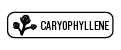 caryophyllene terpene icon